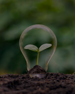 mercado livre de energia: imagem canva